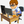 Avatar for himu